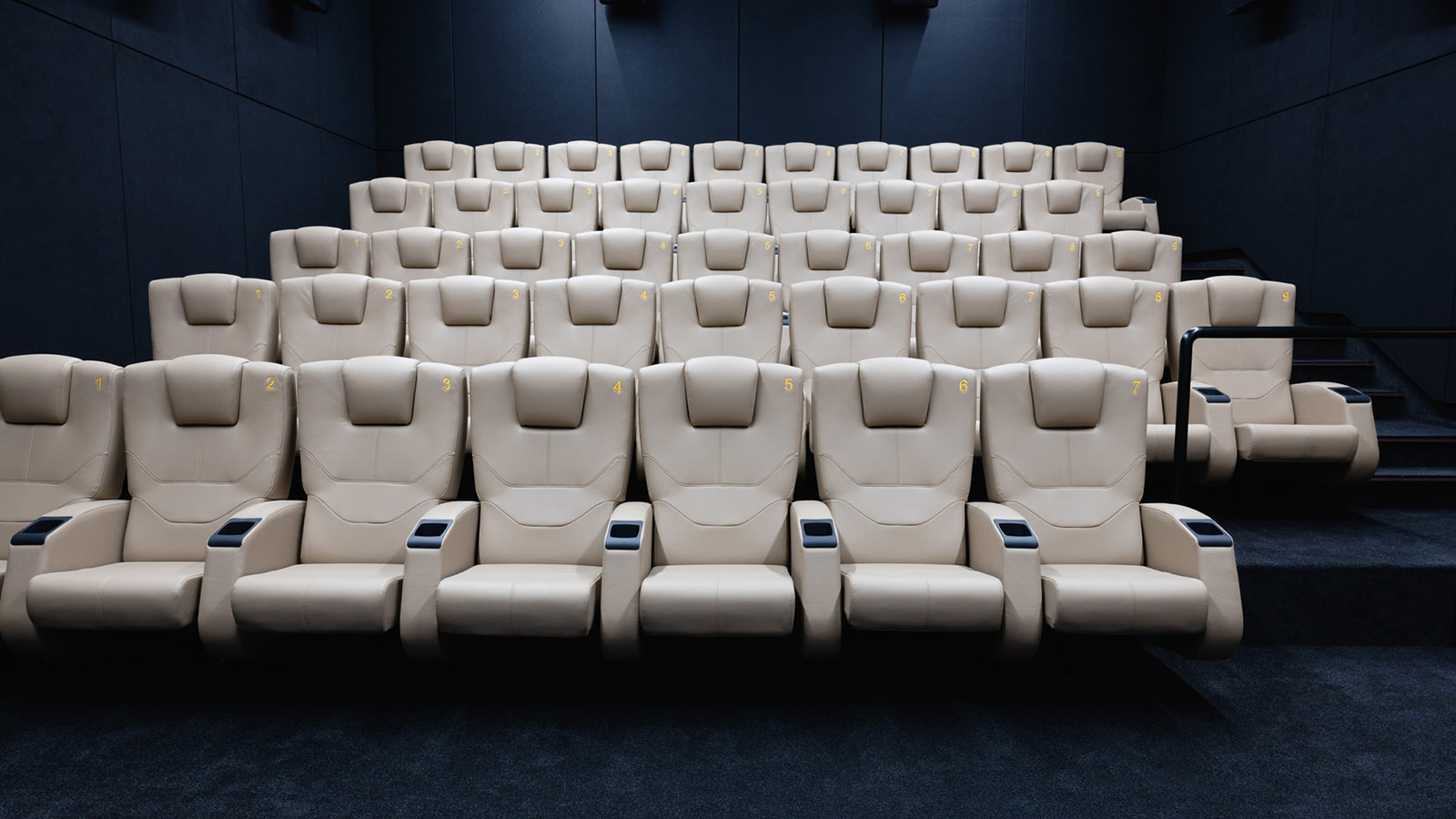 Now Showing at Starlight